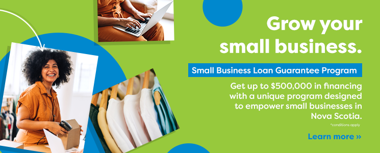 Small Business Loan Guarantee Program